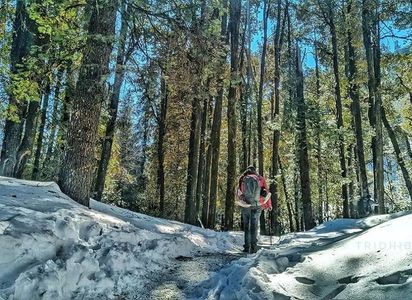 Himalayan Trekking Adventures in India by Himalaya Shelter