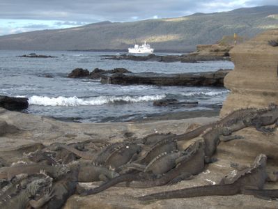 Why a Galapagos Charter Is the Only Way to Truly Experience the Islands