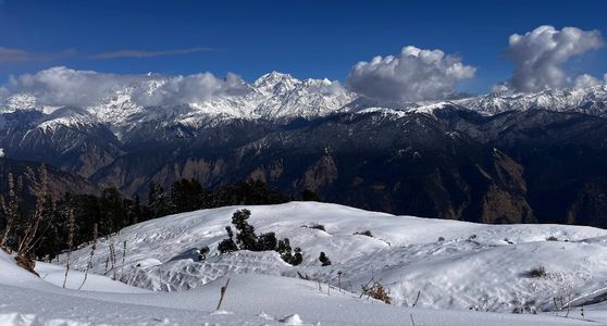 Dayara Bugyal Trek: A Short Trek of 4 Days in Uttarakhand