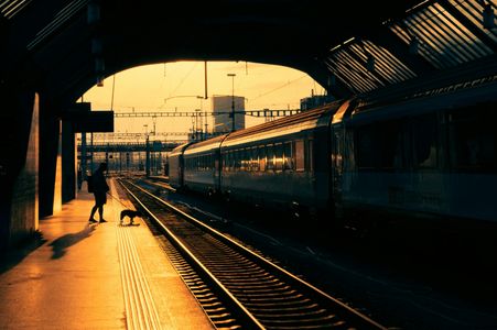 How to travel with dog in train: The Ultimate Guide for Pet Parents