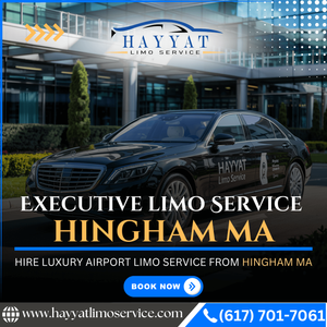 Executive Limo Service Hingham Ma to Logan Airport