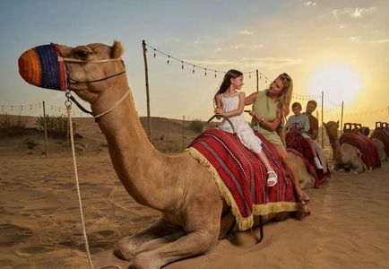Best Morning Desert Safari | 5 Reasons To Book Now! | #FOMO