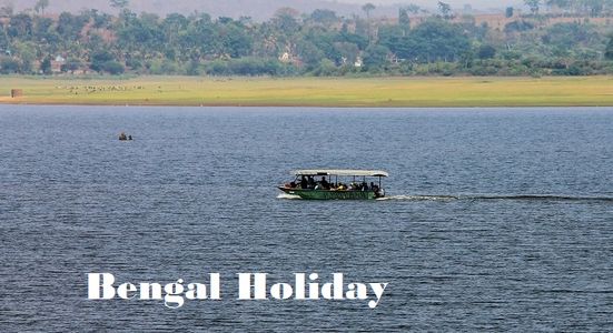 Into the Wild Heart of Bengal: Why the Sundarbans Should Be Every Wildlife Lover’s Next Escape