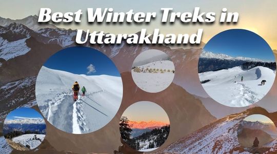 Best Winter Treks in Uttarakhand for Beginners