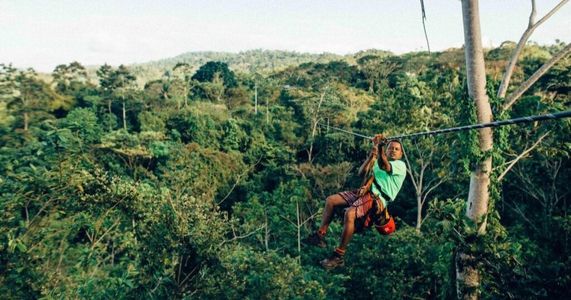 Flying Over Paradise – A Complete Guide to Zipline Adventures in Koh Samui