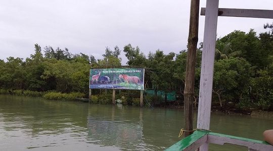 Discover the Wild Soul of Bengal: Your Perfect Sundarban Tour Awaits