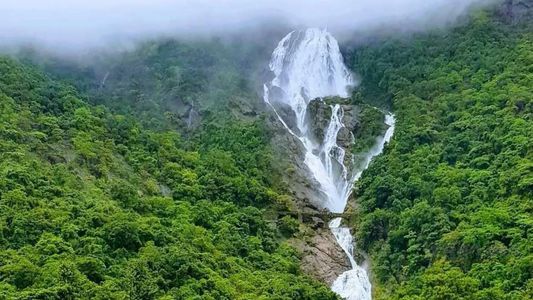 Journey to the Falls of Mist and Magic – An Unforgettable Dudhsagar Trek Experience