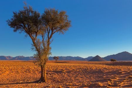 Travel Namibia in 10 Days Road Trip Itinerary