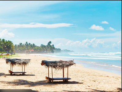 Adventure Sri Lanka Holidays: Hiking, Surfing & Safari Thrills