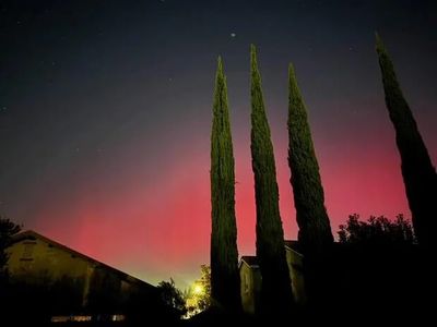 A Dazzling Display: The Northern Lights Illuminate the Night Sky