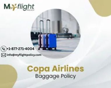 Copa Airlines Baggage Policy – Are Strollers and Car Seats Free?