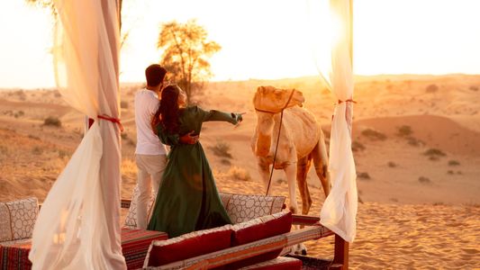 Book Desert Safari Dubai | Hot Deals & Best Prices