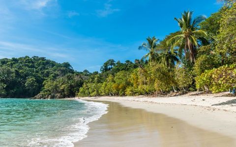 Best Beaches in Costa Rica for Surfing and Relaxation