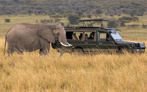 Magical Kenya Safari Adventures for First-Time Indian Travellers