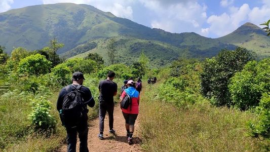 Tadiandamol Trek: A Peaceful Escape Into Coorg’s Misty Highlands