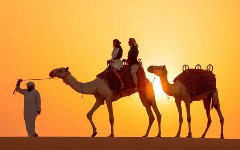 Top 10 Desert Safari Abu Dhabi Experiences You Can’t Leave the UAE Without Trying!