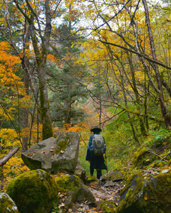 Gulabi Kantha Trek 2025: Explore India’s Untouched Alpine Paradise