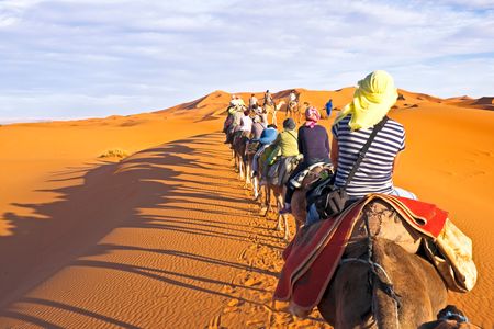 Planning Your African Adventure Cultural Highlights of Morocco, Cameroon, Congo & Egypt