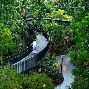 Eco-Tourism in Qatar: Nature Reserves, Mangroves & Wildlife Spots