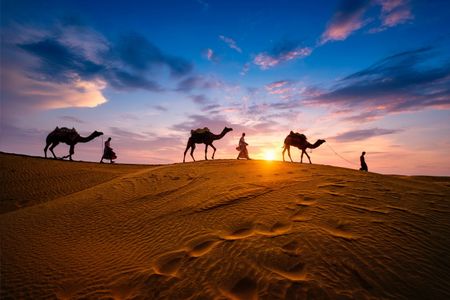 Desert Safari Dubai: A Once-in-a-Lifetime Adventure Every Traveler Must Experience