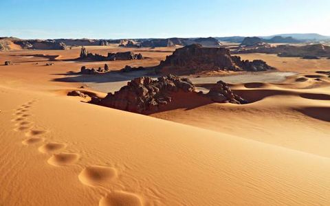 Best Desert Experiences in Algeria for Adventure Lovers