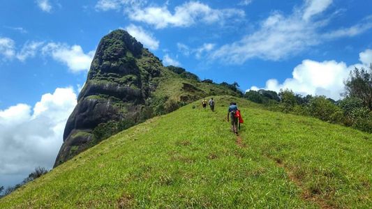 Everything You Should Know Before Trekking Kurinjal
