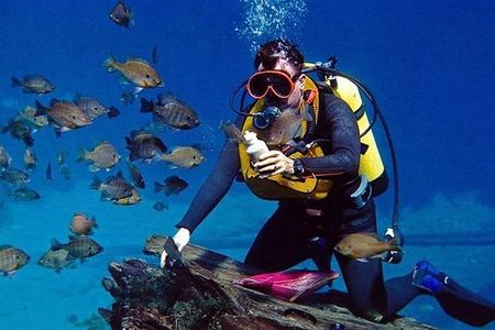 Beginner’s Guide to Scuba Diving in Gokarna: What to Expect Under the Waves