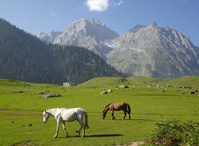 A Journey Through Kashmir’s Beauty: Top Valleys, Lakes & Hill Stations to Visit