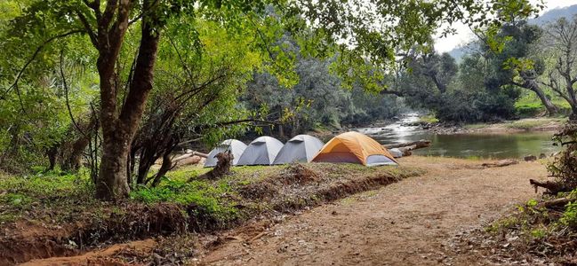 Coorg Camping: Where Serenity Meets Adventure