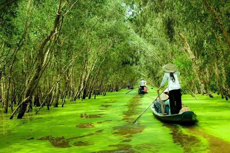 Mekong Delta Tour – Best Day Trip from the City