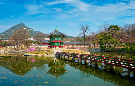 South Korea Travel Guide: Cities, Traditions, Food Culture, Daily Life & Travel Tips for First-Time