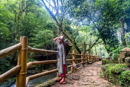 Escape to the Clouds: A Complete Guide to Meghalaya Tour Packages From Bangalore