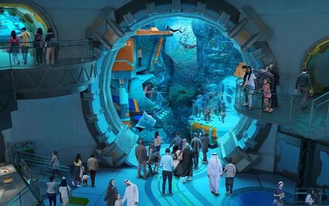 SeaWorld Abu Dhabi Aquarium: Discover the World’s Largest Indoor Marine-Life Park