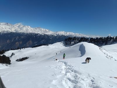 Dayara Bugyal Trek for Christmas and New Year: A Magical Himalayan Getaway