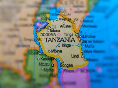 Tanzania eVisa for France