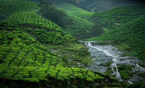 Kerala Tour Package for Solo Travelers: Safety, Tips & Best Routes