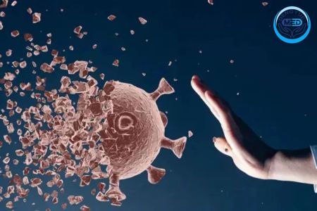 Traveler's Guide to Dodging the Flu: Stay Healthy on Your Adventures