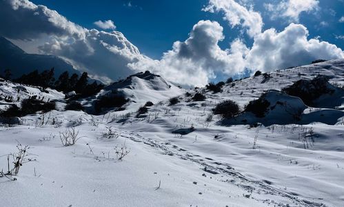 Dayara Bugyal in Winter: A Complete and Honest Guide for Snow Lovers
