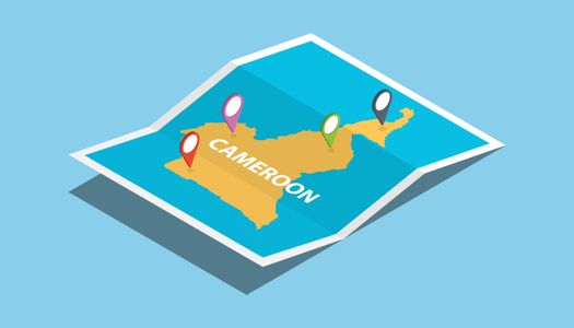 Cameroon eVisa for Citizens of New Zealand