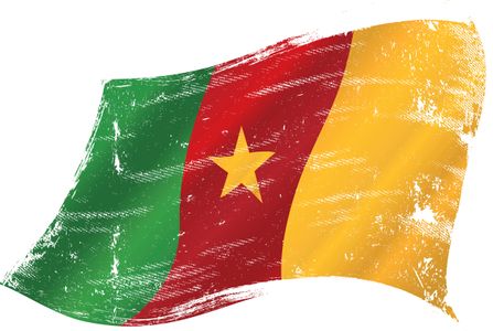 Cameroon eVisa for Citizens of Vietnam