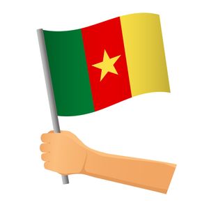Cameroon eVisa for Niger Citizens