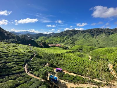 Cameroon eVisa for Sao Tomé and Principe Citizens