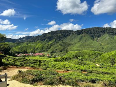 Cameroon eVisa for Spain Citizens