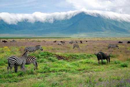 Tanzania eVisa for Saudi Arabian Citizens