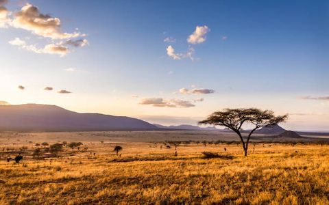 What Are the 8 Moments Travelers Love Most in Kenya?