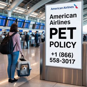 American Airlines Pet Policy: Complete Guide for Traveling with Your Pets
