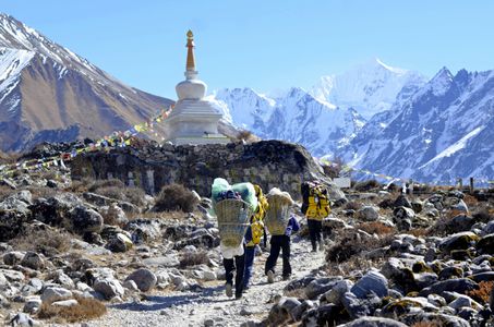 Into the Quiet Mountains: Discovering the Beauty of Langtang Valley Trek