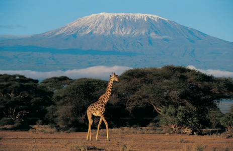 How Nature Dominates the Travel Experience in Kenya