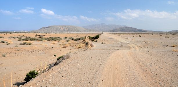 Djibouti eVisa for Vietnam Travelers