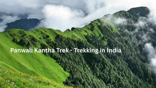 Panwali Kantha Trek - Trekking in India